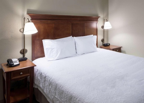 Hampton Inn By Hilton & Suites Colorado Springs/I-25 South image 17